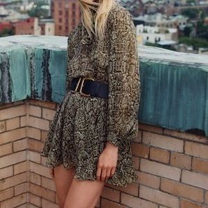 Zara Animal Snake Print Belted Mini Dress